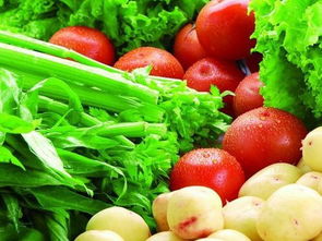 群英薈萃農(nóng)產(chǎn)品 農(nóng)民怎樣才能把自己的農(nóng)產(chǎn)品銷售到全國(guó)各地呢