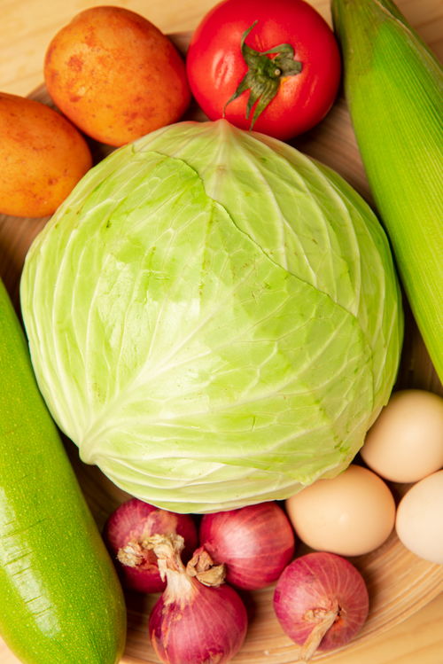 包菜西紅柿混合蔬菜食材食品蔬菜攝影圖 果蔬圖片素材