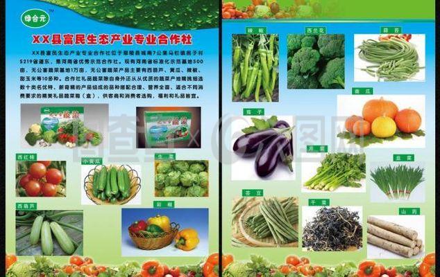 蔬菜宣傳彩頁圖片