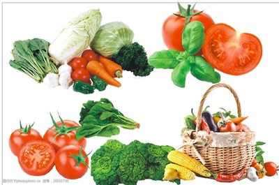 菜籃子各種蔬菜