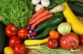 她是90后,用2年時(shí)間打造了中國(guó)最大農(nóng)業(yè)體驗(yàn)項(xiàng)目