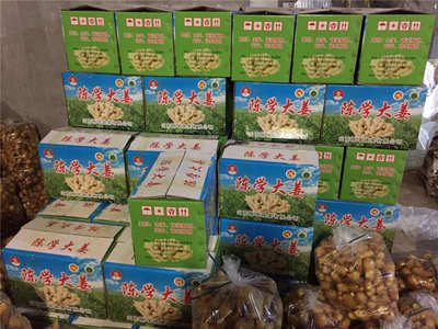 陳學大姜報價_廠家直銷實惠的大姜圖片|陳學大姜報價_廠家直銷實惠的大姜產品圖片由山東陳學蔬菜公司生產提供-